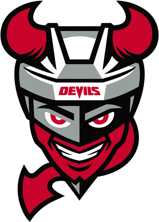 Binghamton Devils 2017-Pres Primary Logo iron on heat transfer